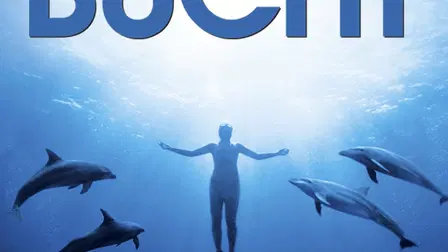 Die Bucht
