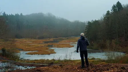 Organized Wilderness