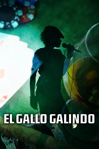 El gallo Galindo