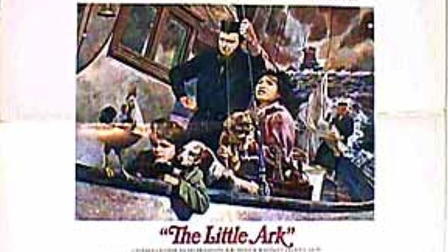 The Little Ark