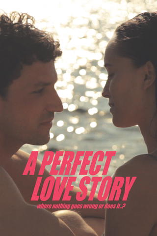 A perfect Love Story where nothing goes wrong or does it..?