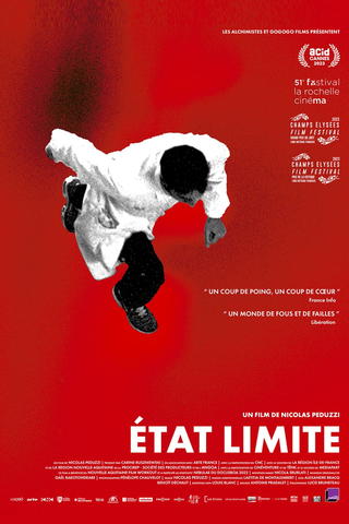 État limite (film)
