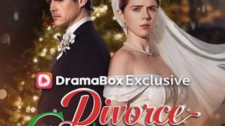 Divorce Is My Best Christmas Gift