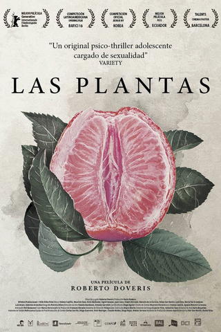 Plants
