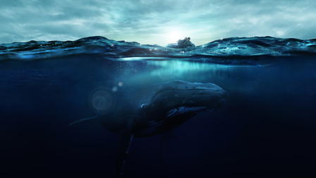 Fathom - Nas Profundezas