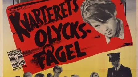 Kvarterets olycksfågel