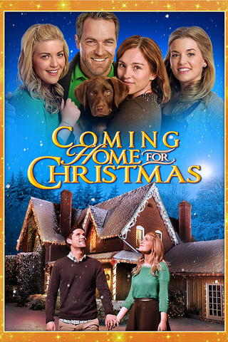 Regresando a casa en Navidad