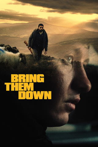 Bring Them Down