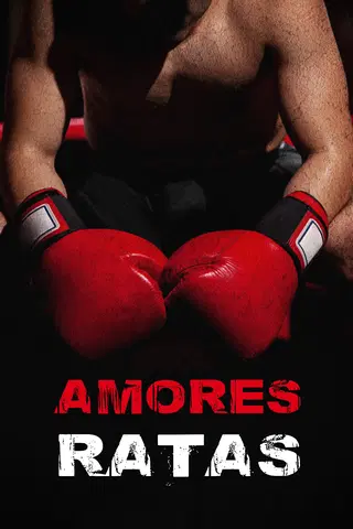 Amores ratas