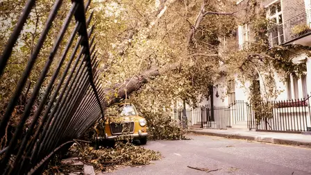 999 Special: The Great Storm of 1987