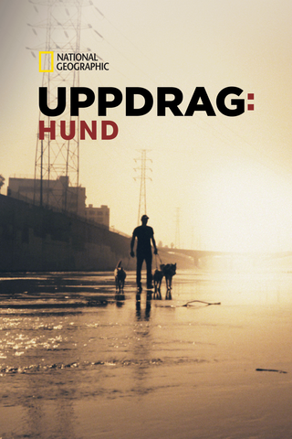 Uppdrag: Hund
