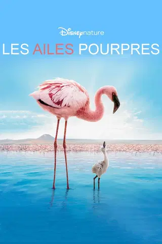 Les Ailes pourpres : Le Mystère des flamants