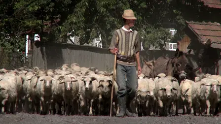 Off The Beaten Track