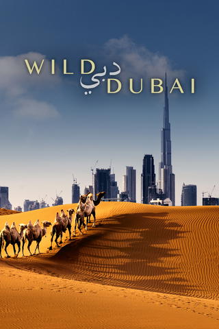 Wild Dubai