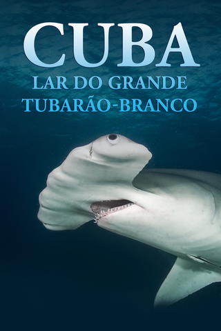Cuba: Lar do Grande Tubarão-branco