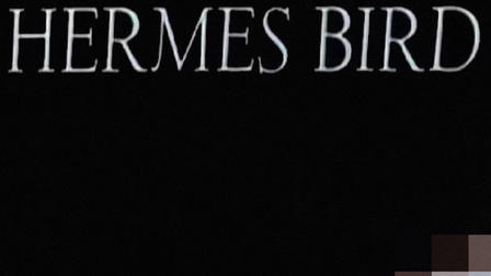 Hermes Bird