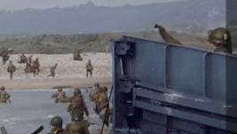 Liberation: D-Day To Berlin