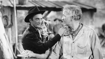 Den Hals in der Schlinge