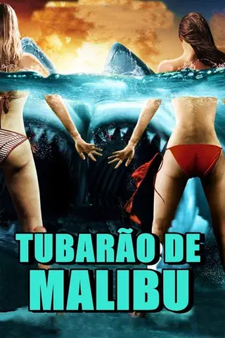 Tubarão de Malibu