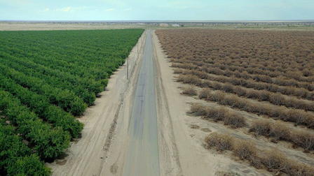 Water and Power: A California Heist