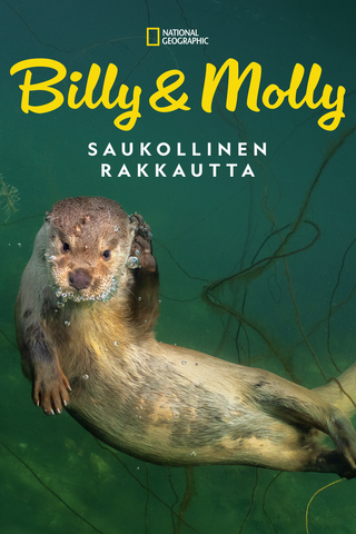 Billy ja Molly: Saukollinen rakkautta