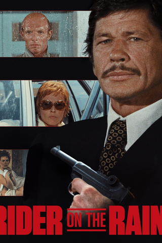 Passageraren i regnet