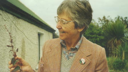 The Nuns, the Priests, and the Bombs