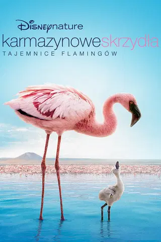 Karmazynowe skrzydła: Tajemnice flamingów