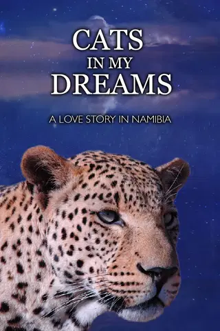 Cats In My Dreams