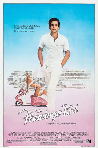 The Flamingo Kid