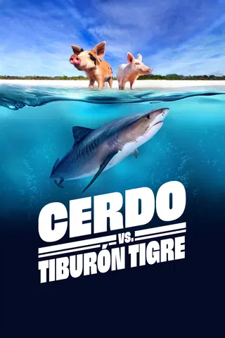 Porco Vs. Tubarão