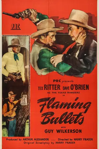 Flaming Bullets