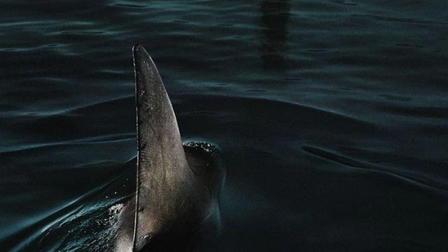 En las profundidades del Sena