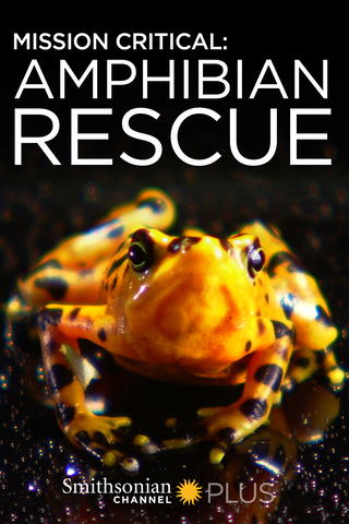 Mission Critical: Amphibian Rescue
