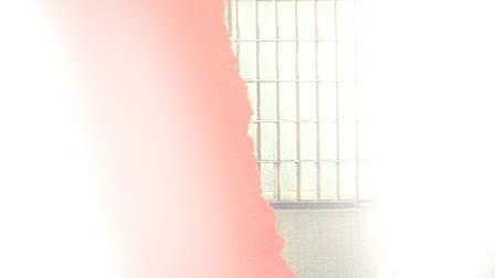 Cell Block Sisters: Banished Behind Bars