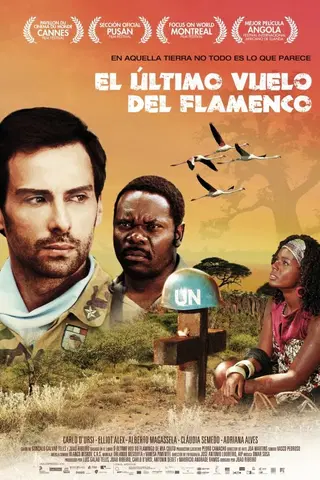 The Last Flight of the Flamingo