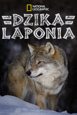 Dzika Laponia