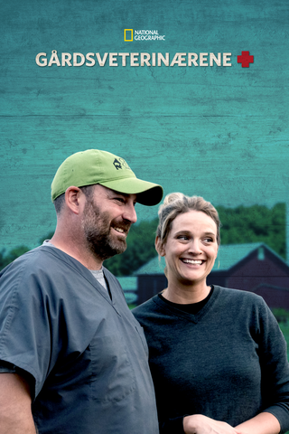 Veterinærer i Midtvesten