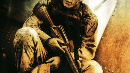 La Chute du faucon noir