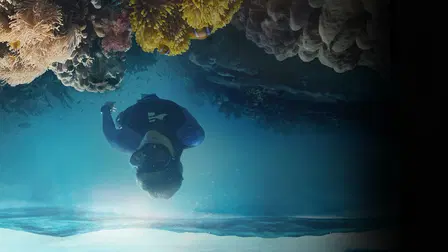 Beneath the Surface: The Fight for Corals