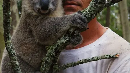 Perdido na Austrália