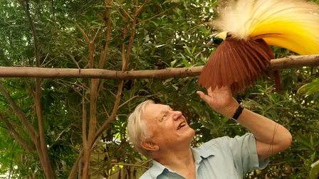 Las Aves del Paraiso