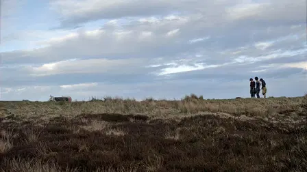 Lowland Fell