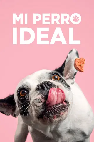 Meu Cão Ideal