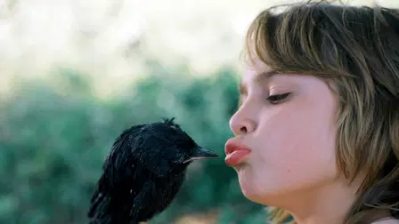 Kauwboy: Kleiner Vogel, grosses Glück