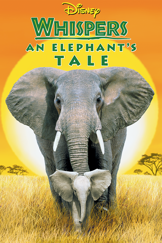 Whispers : An elephant's Tale