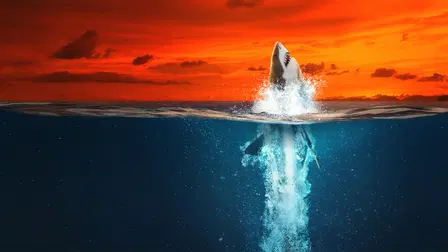 Air Jaws: Haie auf Medaillenkurs