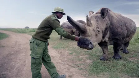 The Last Rhinos: A New Hope