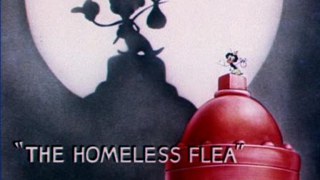 The Homeless Flea