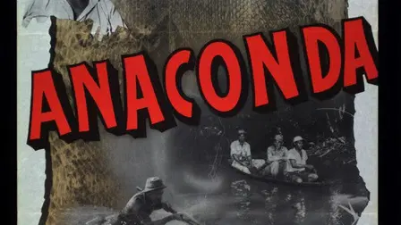 Anaconda